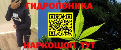 твердый Кингисепп