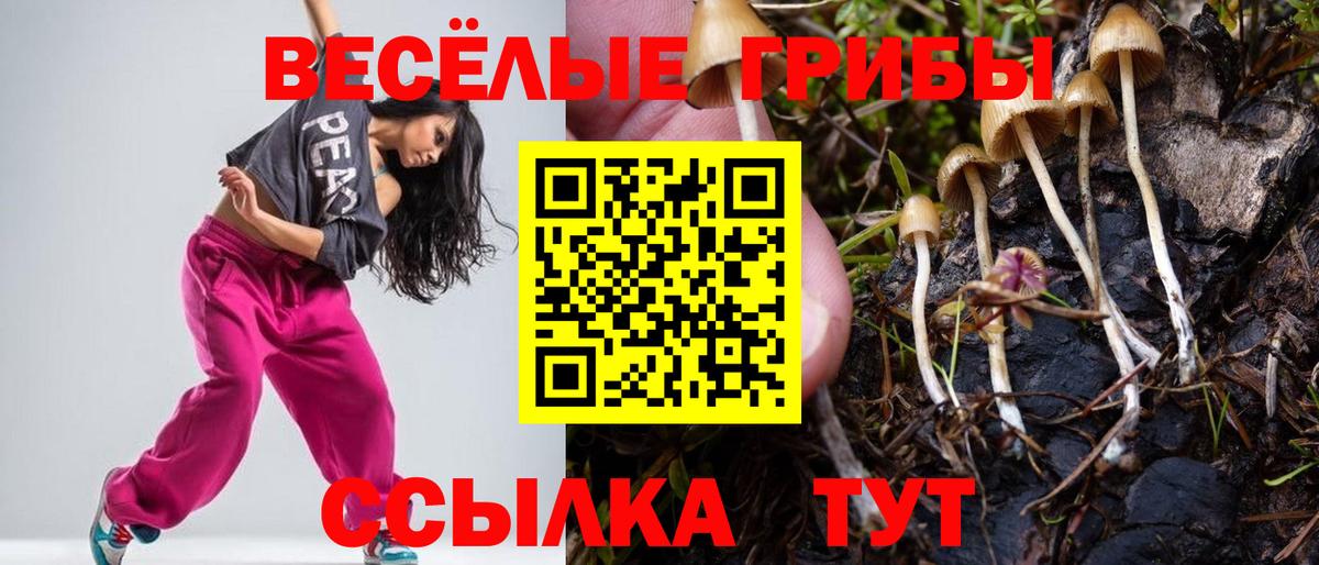 Галлюциногенные грибы Psilocybe  Галлюциногенные грибы GOLDEN TEACHER  Вход с VPN  Коломна 